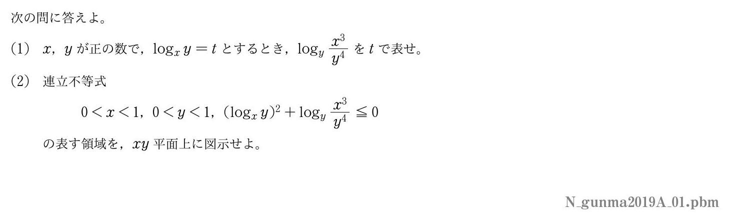 2019年度群馬大学 第１問　